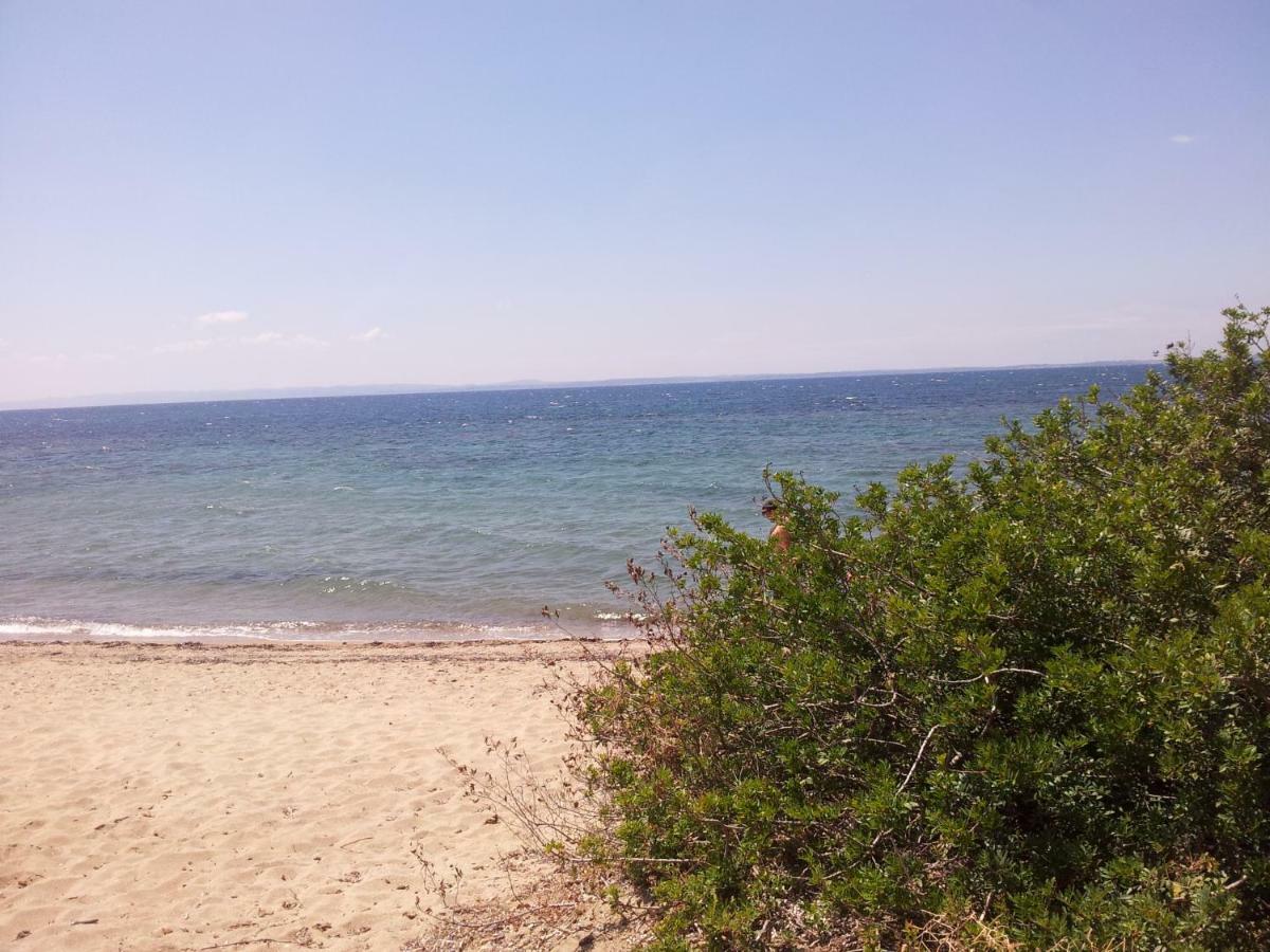 Afroditi Beach Yerakini Eksteriør billede